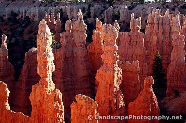 Bryce Canyon National Park, Utah