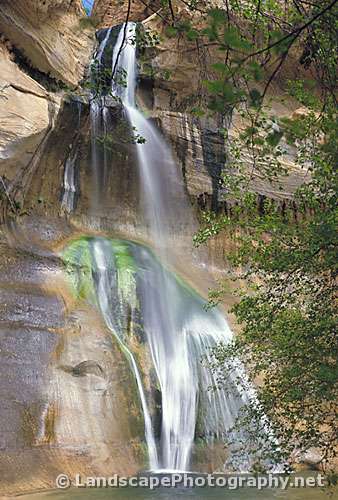 Calf Creek Falls