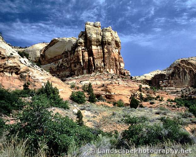 Along Calf Creek Trail