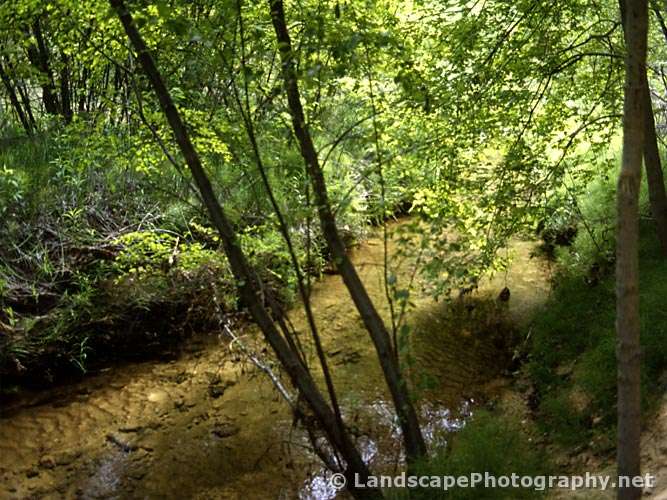 Calf Creek near Falls