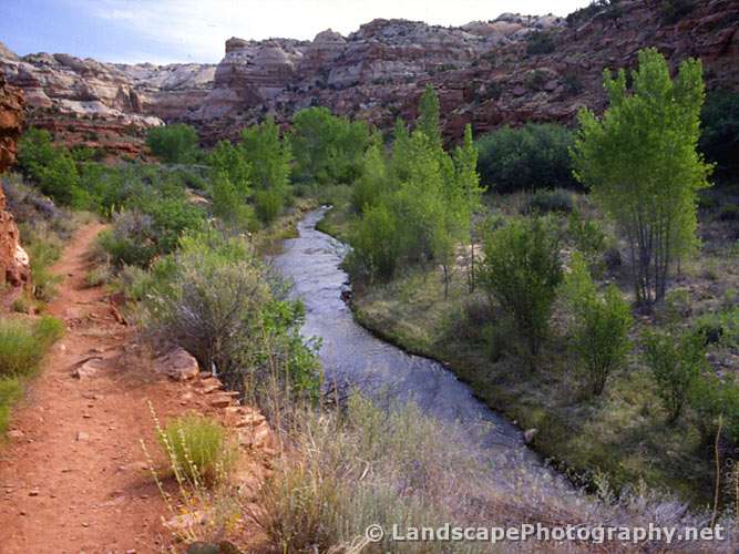 Calf Creek