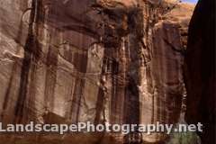 Canyons of the Escalante