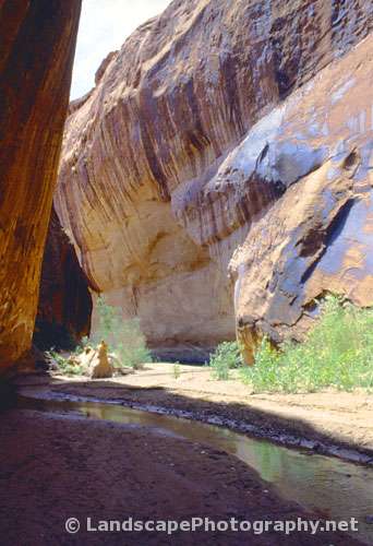 Twentyfive Mile Canyon