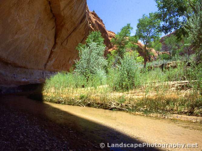 Harris Wash