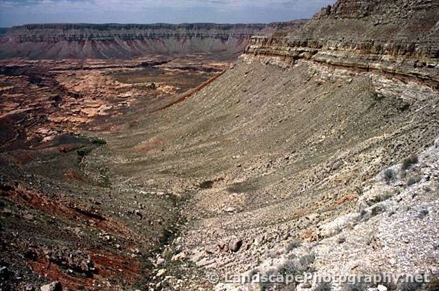 Grand Canyon from Sowats Point