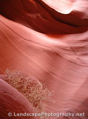 Lower Antelope Canyon, Arizona