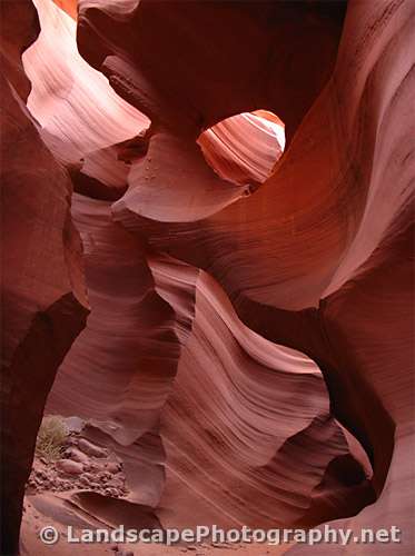 Lower Antelope Canyon, Arizona