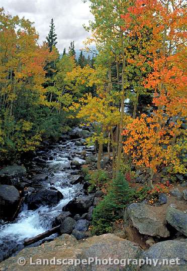 Vivid fall foliage, Rocky Mountain National Park