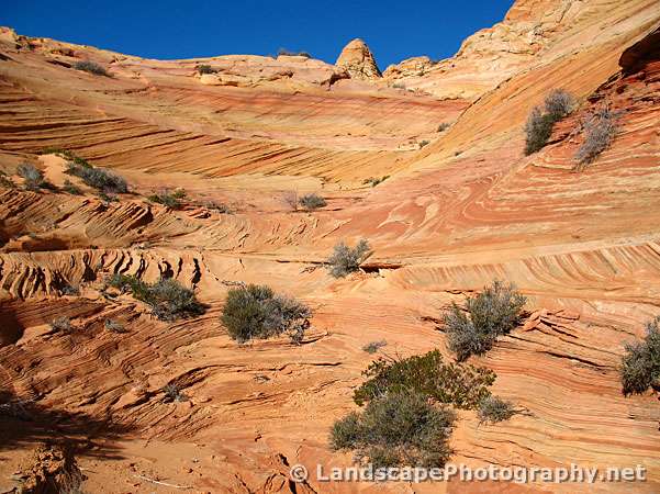 Petrified Dune, Cottonwood Cove, Coyote Buttes South