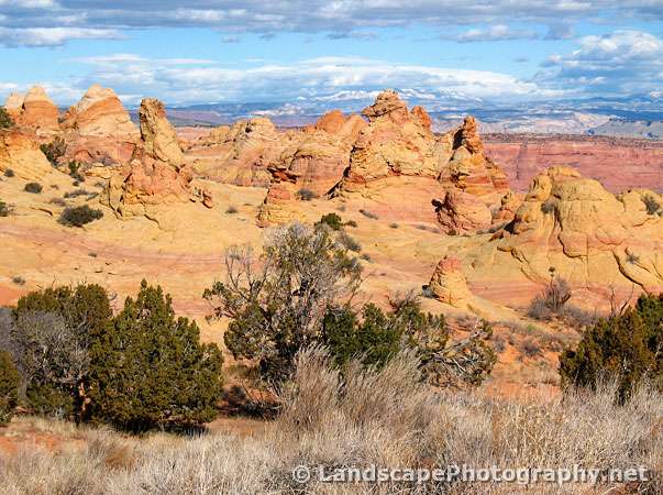 Sandstone Reef, Cottonwood Cove, Coyote Buttes South