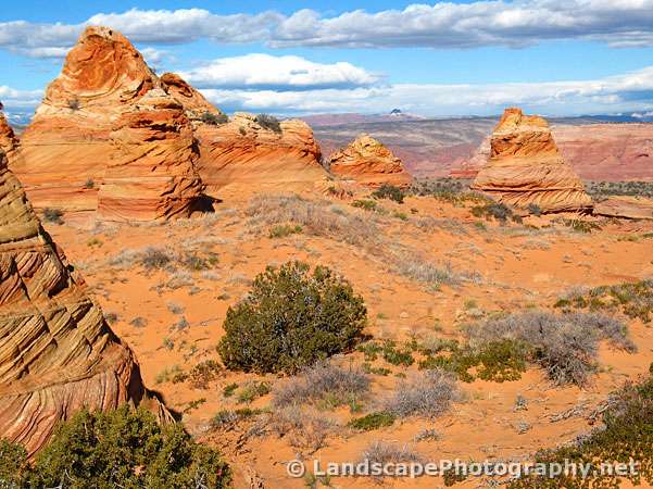 Sandstone Reef, Cottonwood Cove, Coyote Buttes South
