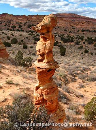 The Queen, Cottonwood Cove, Coyote Buttes South