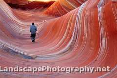 The Wave and North Coyote Buttes, Arizona/Utah