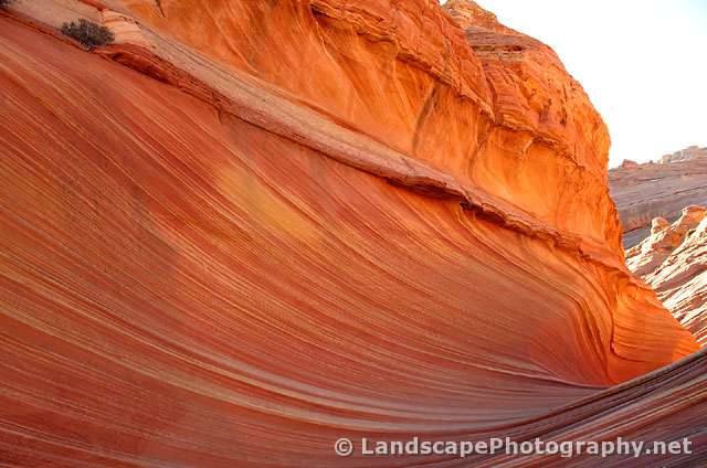 The Wave, Coyote Buttes North