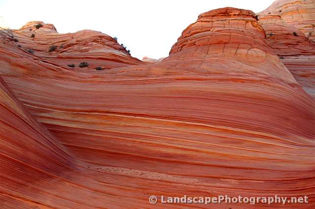 The Wave, Coyote Buttes North