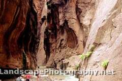 Zion National Park, Utah