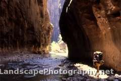 Zion Narrows, Zion National Park, Utah