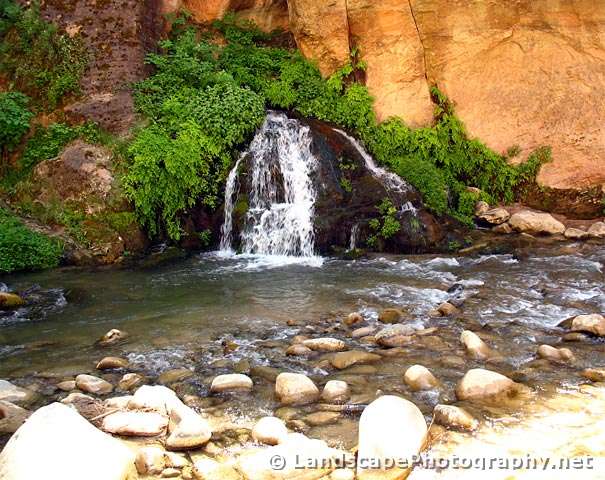 Zion Narrows, Zion National Park, Utah