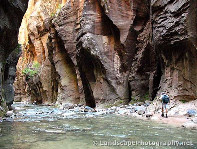 Zion Narrows, Zion National Park, Utah