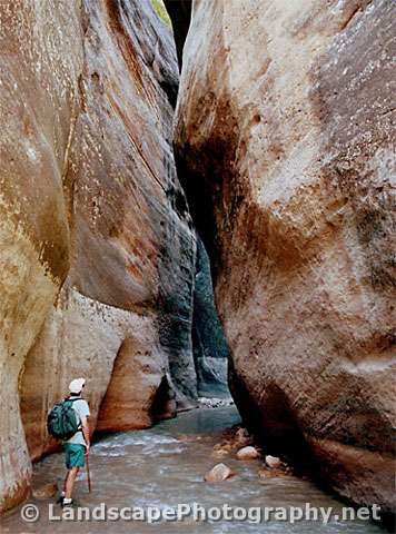 Zion Narrows, Zion National Park, Utah