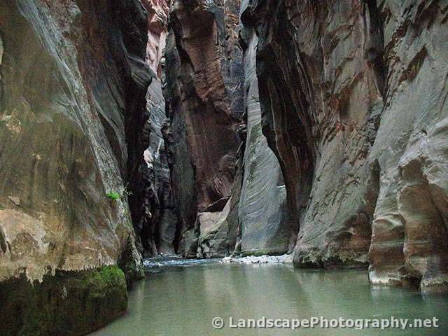 Zion Narrows, Zion National Park, Utah