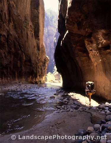 Zion Narrows, Zion National Park, Utah