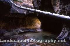 The Subway, Zion National Park, Utah