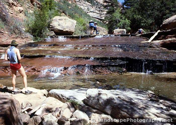 North Creek, Zion National Park, Utah