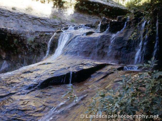 North Creek, Zion National Park, Utah