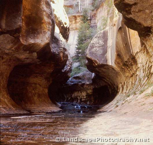 The Subway, Zion National Park, Utah