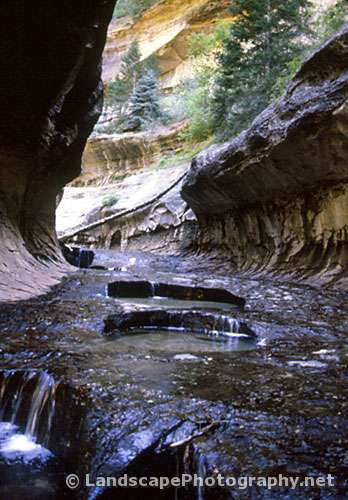 The Subway, Zion National Park, Utah